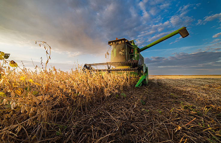 Commercial Agriculture and Genomics