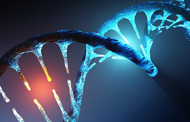 QTL Analysis and Gene Target Identification