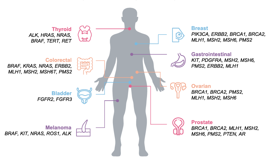 solid tumor pan cancer outlined