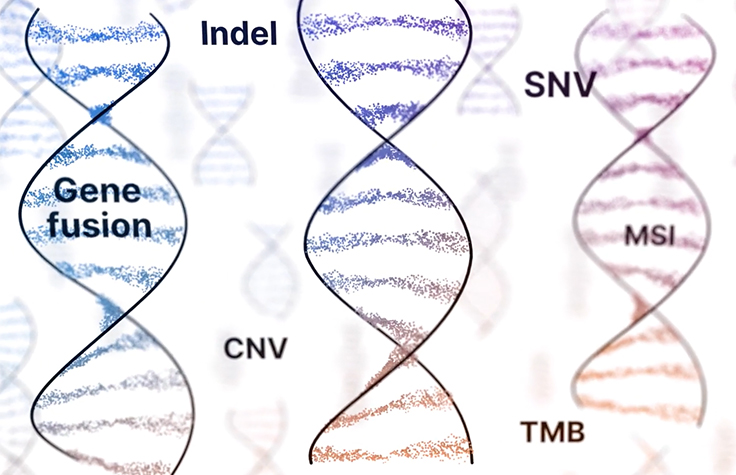 Watch the video: Precision Medicine Through Comprehensive Genomic Profiling