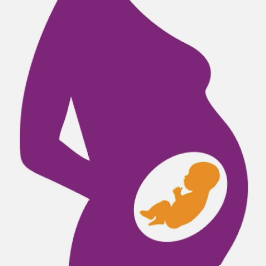 pregnancy illustration