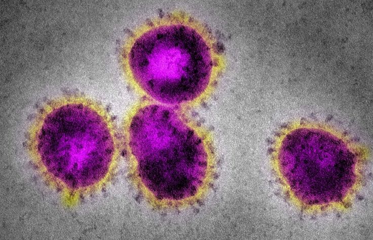 Coronavirus