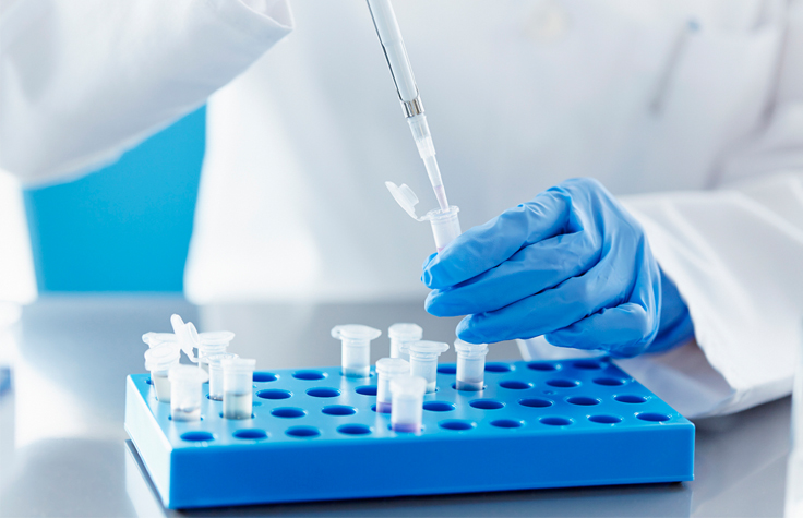 Lab scientist performing SNP genotyping