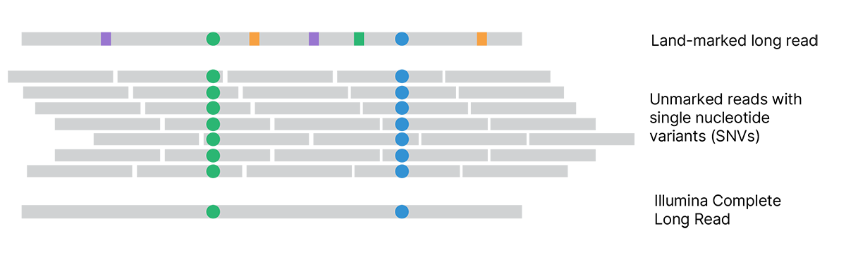 remove land marks from long reads