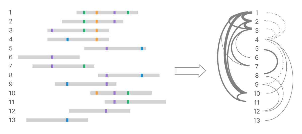 weighted network of marked reads