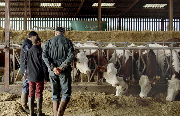 Strengthening Herds With Animals Suited to Different Environmental Situations