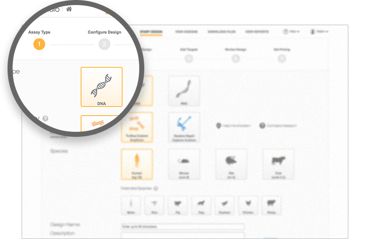 Sequencing Assay Designer