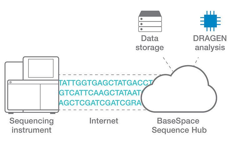 Efficient cloud data analysis for COPD multiomics project