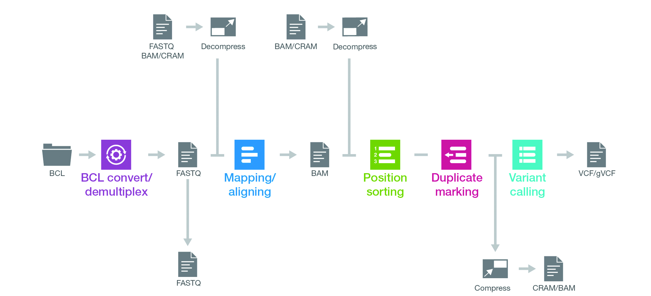 DRAGEN Germline Pipeline Steps