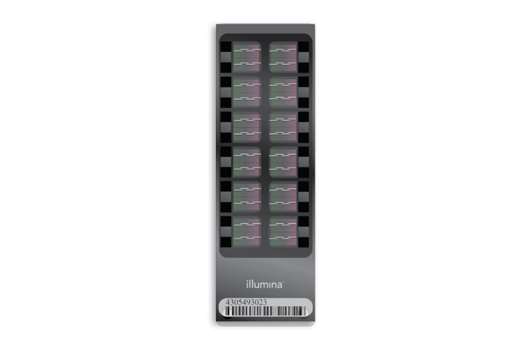 Infinium Mouse Methylation BeadChip