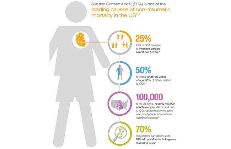 ICC Infographic