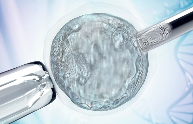 Preimplantation Genetics Technology