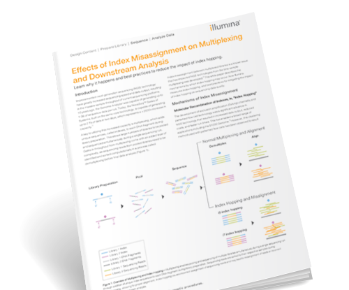 Effects of Index Misassignment