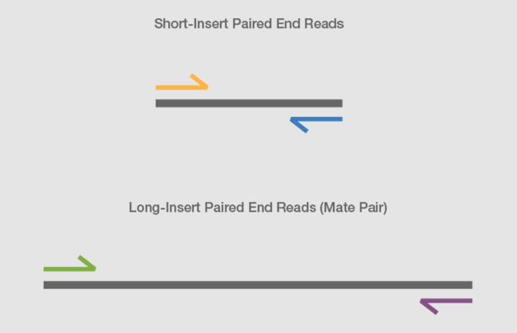 Mate Pair Sequencing