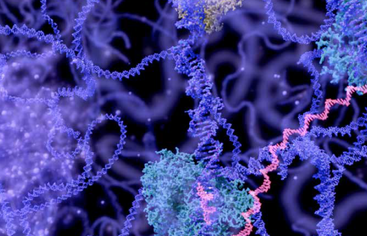 RNA Sequencing Methods Review