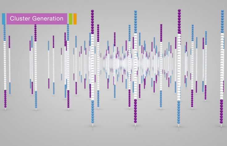 Sequencing by Synthesis (Now in 3D)