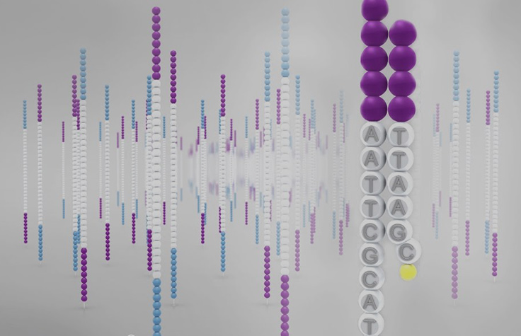 sequencing technology video web graphic standard