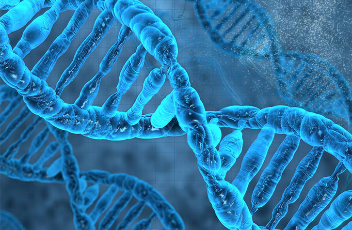 Measuring gene expression from single cells