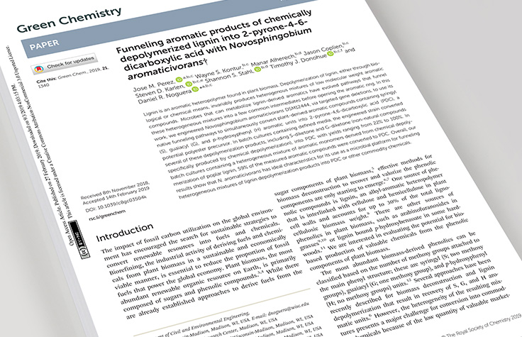 Engineering Bacteria for Plastic Production