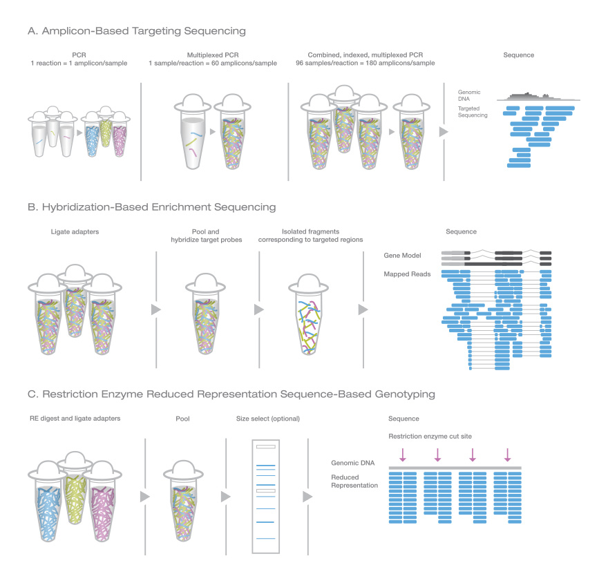 Genotyping by Sequencing Methods