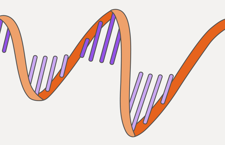 what is transcriptomics illustration