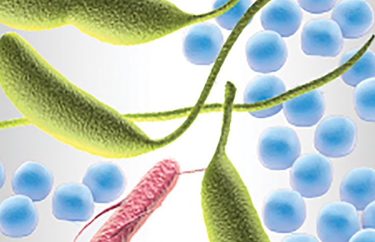 Metagenomic Sequencing