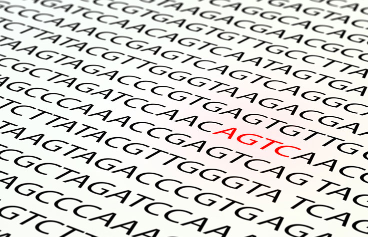 Mitochondrial sequencing