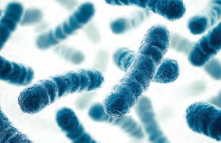 Microbial Transcriptome Analysis