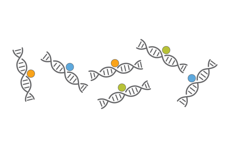 ChIP-Seq Process