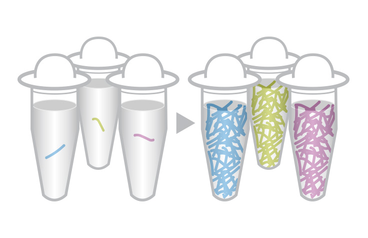 Genotyping by Sequencing Methods